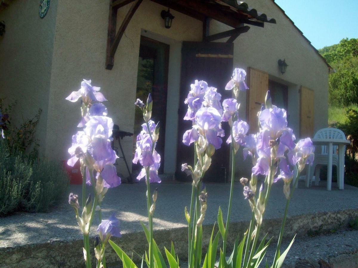 Gite Les Iris La Robine-Sur-Galabre Zewnętrze zdjęcie